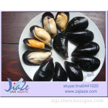 fully cooked IQF Mussel Meat or Half Shell